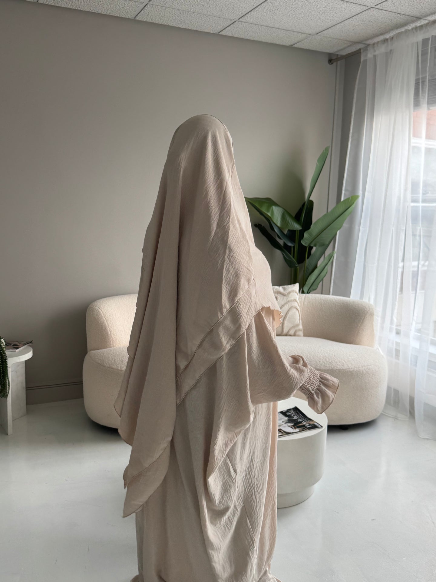 Amira 2 layer set